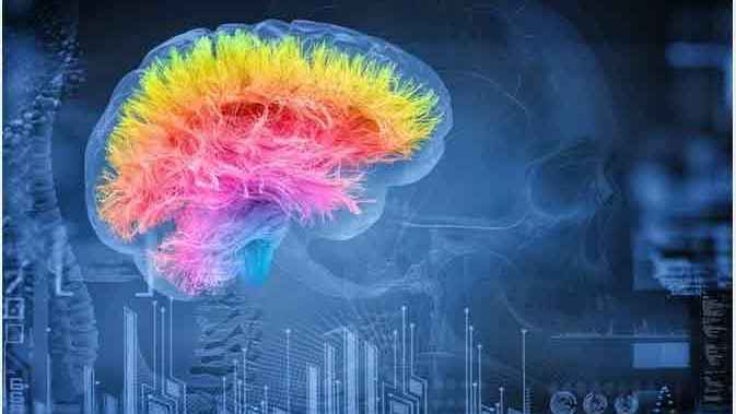 wifi signal internet