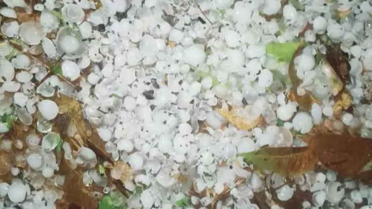 মৌলভীবাজারে মৌসুমের প্রথম শিলাবৃষ্টি
