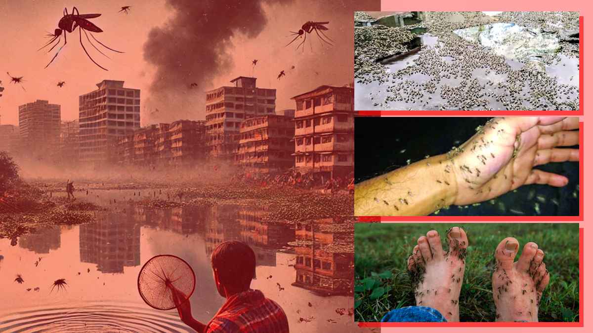 বিকেল থেকেই মশার উপদ্রব, স্বস্তি নেই ইফতারে