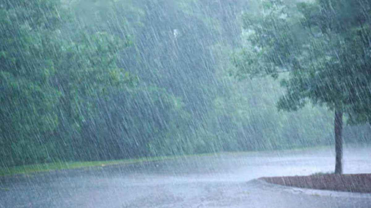 দুই বিভাগে বজ্রসহ বৃষ্টির পূর্বাভাস