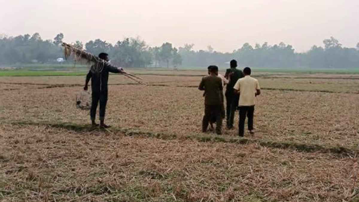 শেরপুরে পাখি শিকারিকে জরিমানা, ৬ পাখি অবমুক্ত