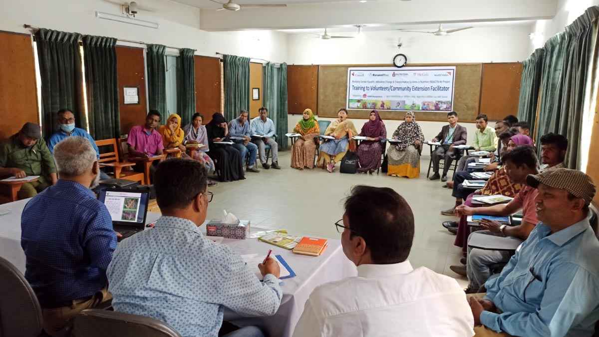 ঠাকুরগাঁওয়ে জিংক ধান ও গমের বিষয়ে দক্ষতা বৃদ্ধির লক্ষ্যে প্রশিক্ষণ