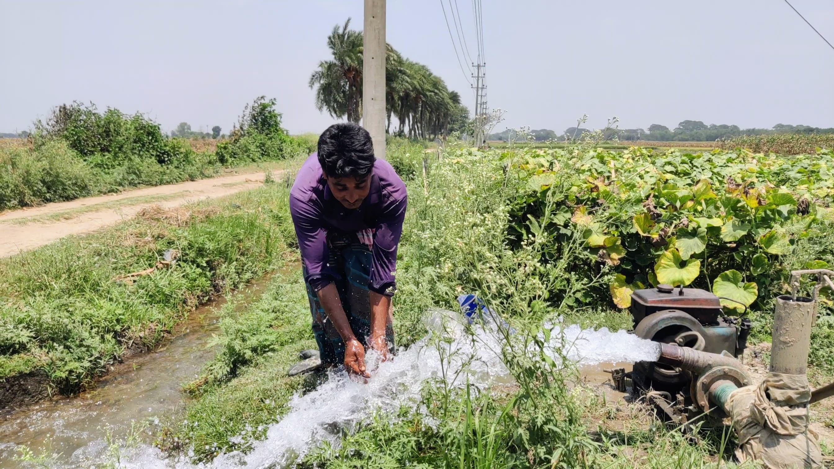 1000023945 1000023945