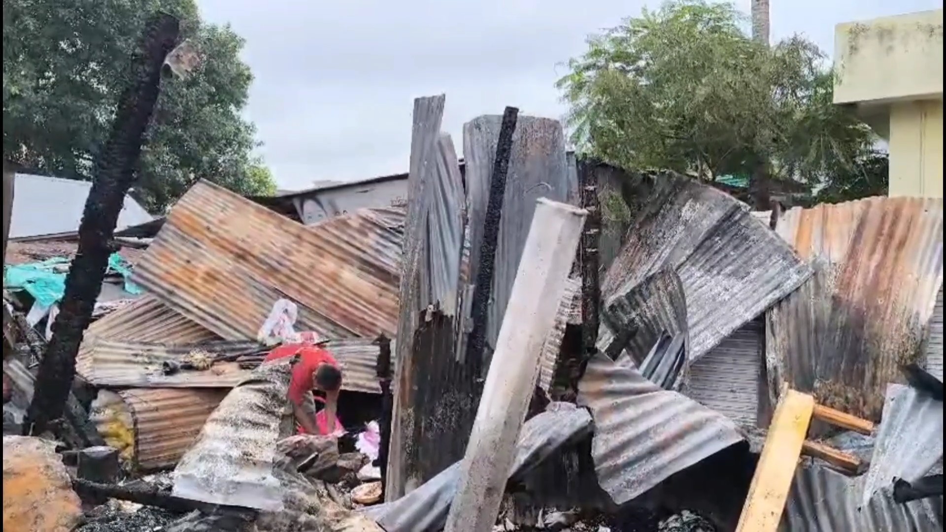 1000026552 1000026552