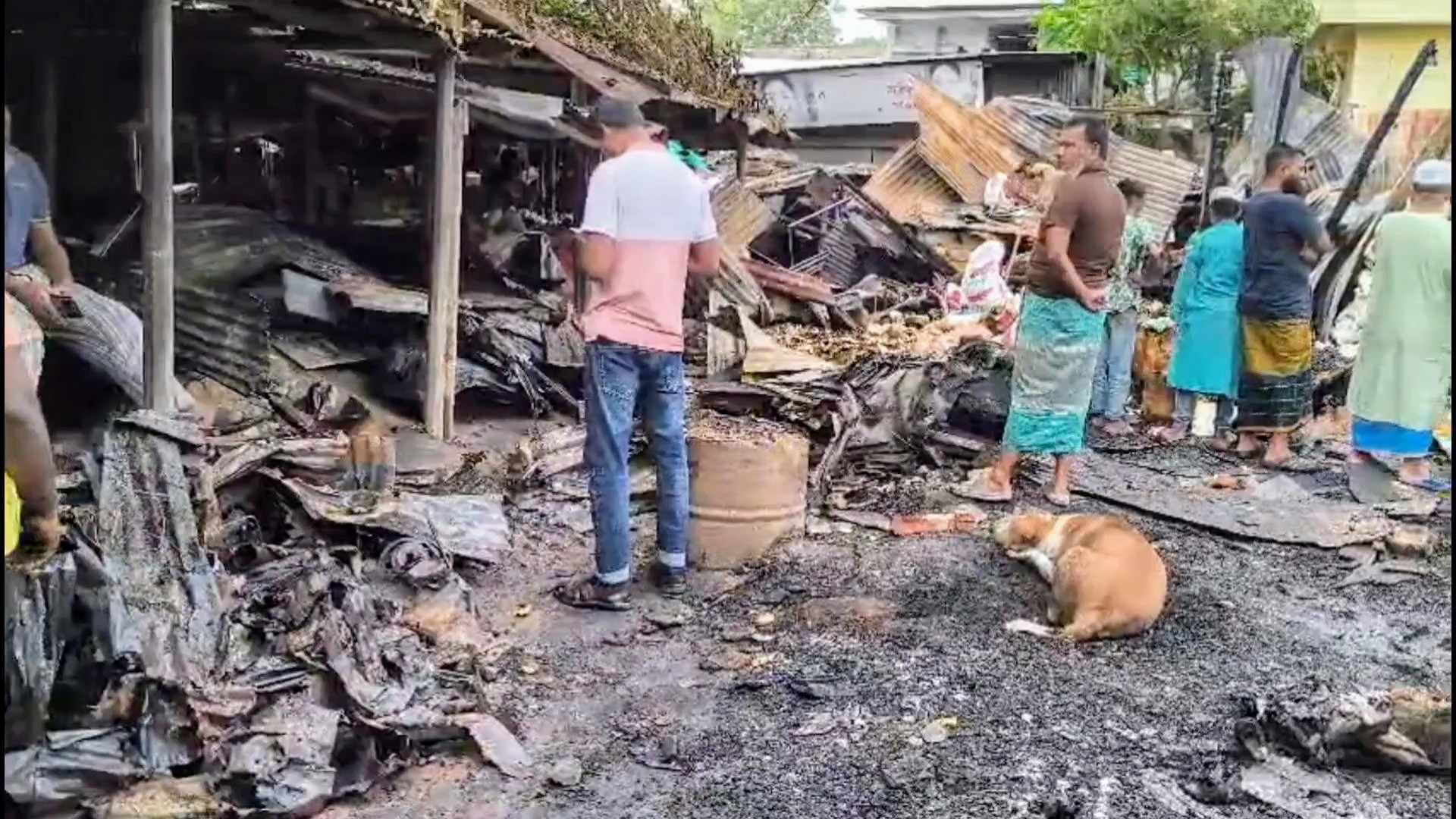 1000026556 1000026556