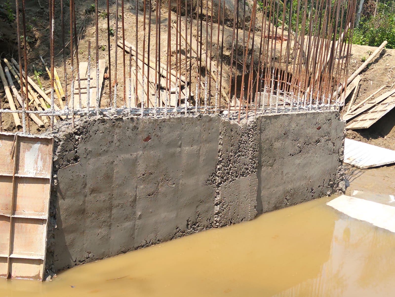 1000072568 1000072568