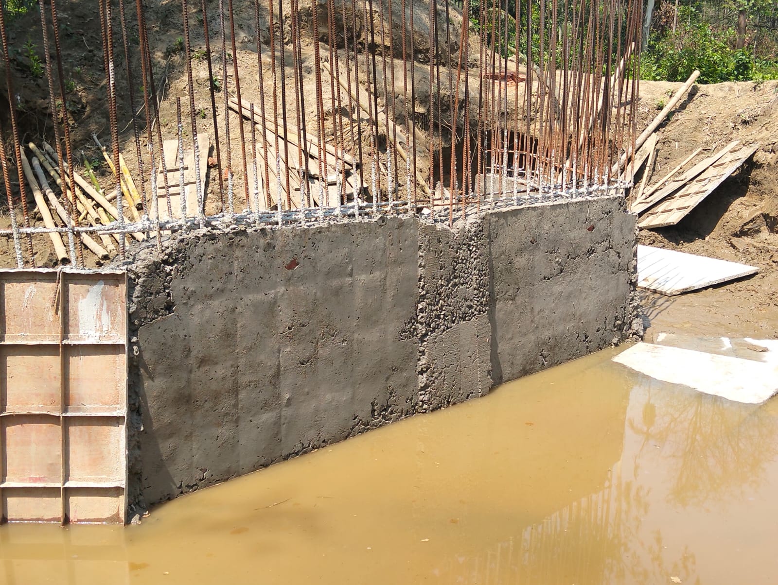 1000072569 1000072569