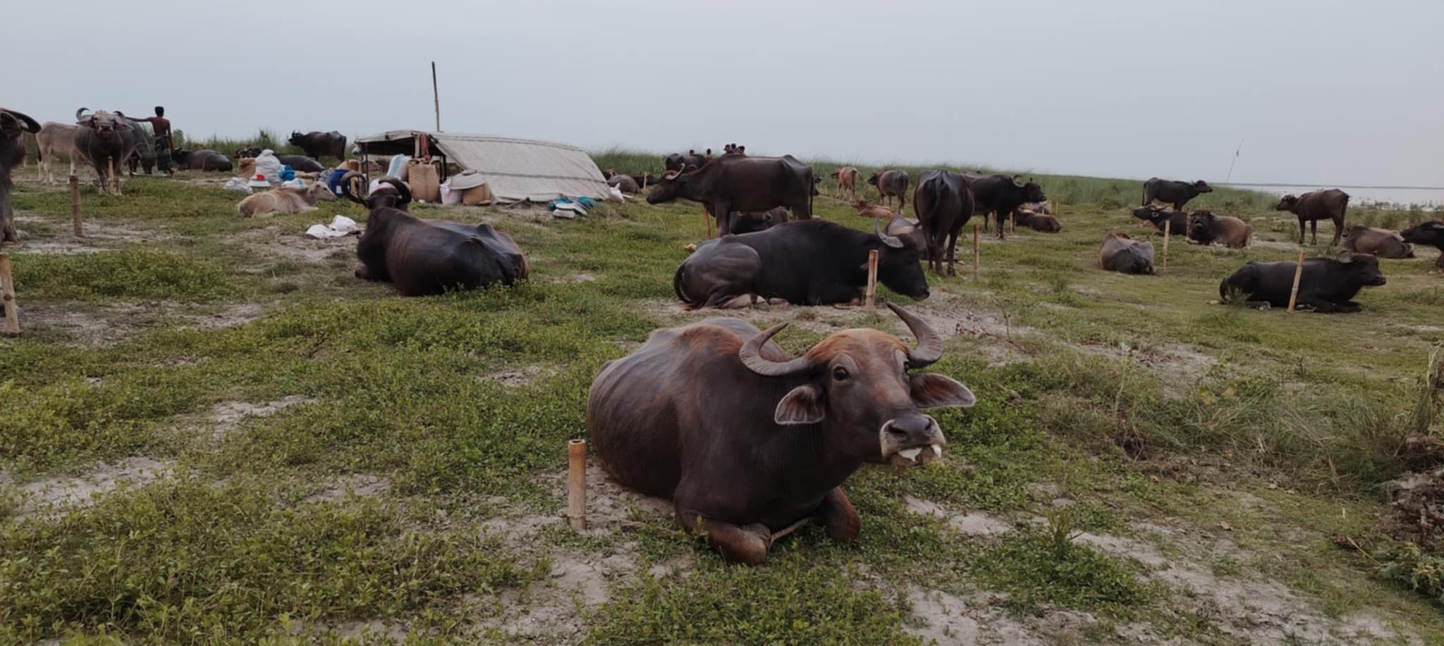 1000100345 1000100345