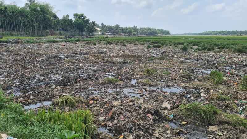 রোহিঙ্গাদের বর্জ্যে ব্যাহত চাষাবাদ, ক্ষতির মুখে হাজারও কৃষক  