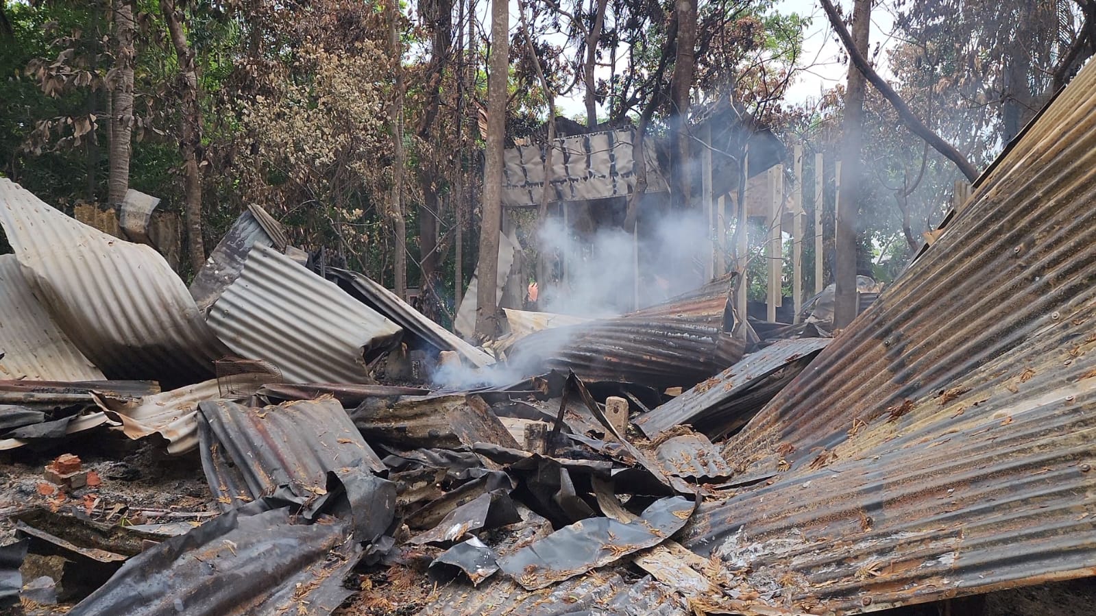 1000188195 1000188195