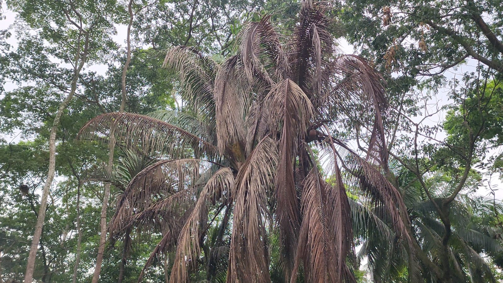 1000188196 1000188196