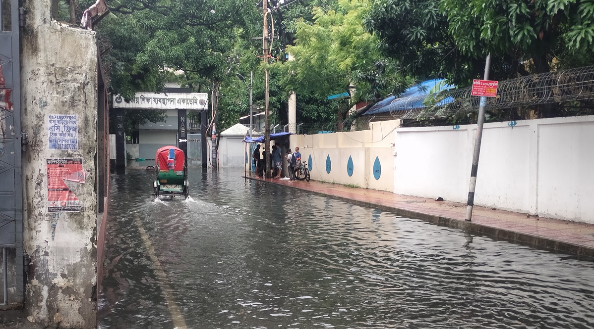 1000219430 1000219430