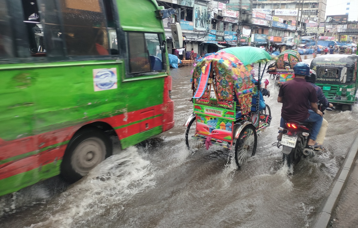 1000219431 1000219431