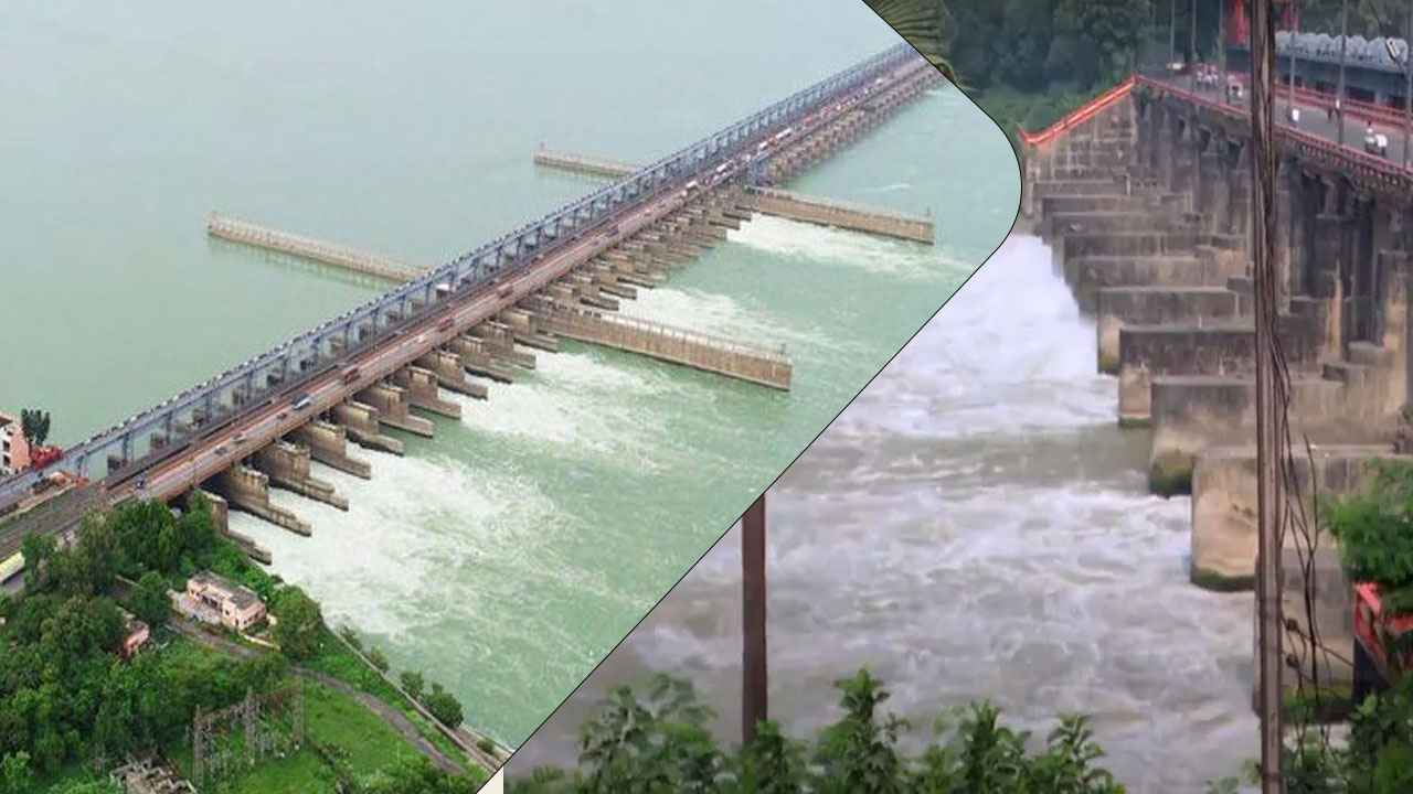 পঞ্চাশ বছর পূর্ণ করল ফারাক্কা বাঁধ, টিকতে পারে আর কতদিন?