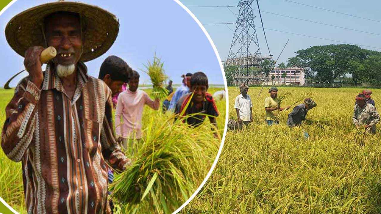 agriculture