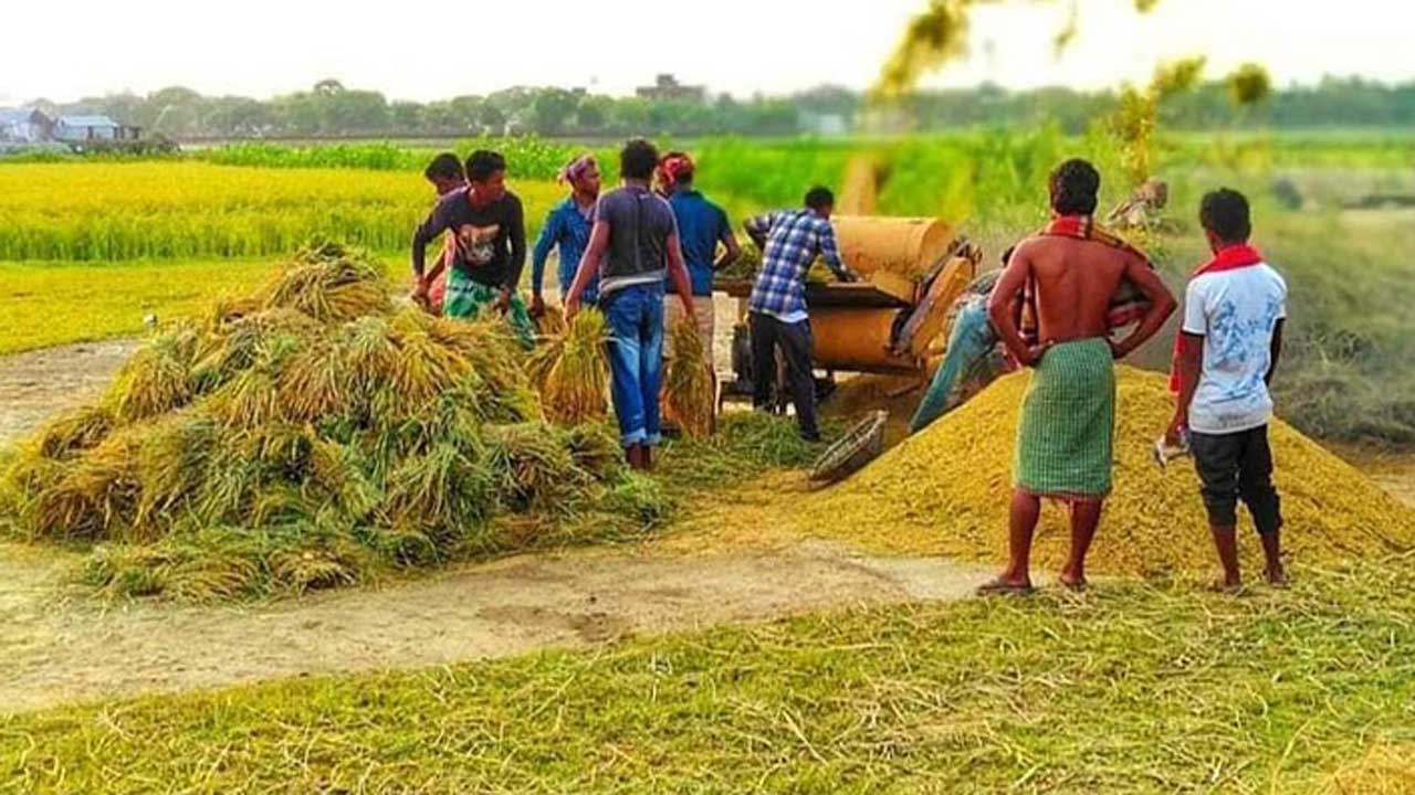 Agriculture2