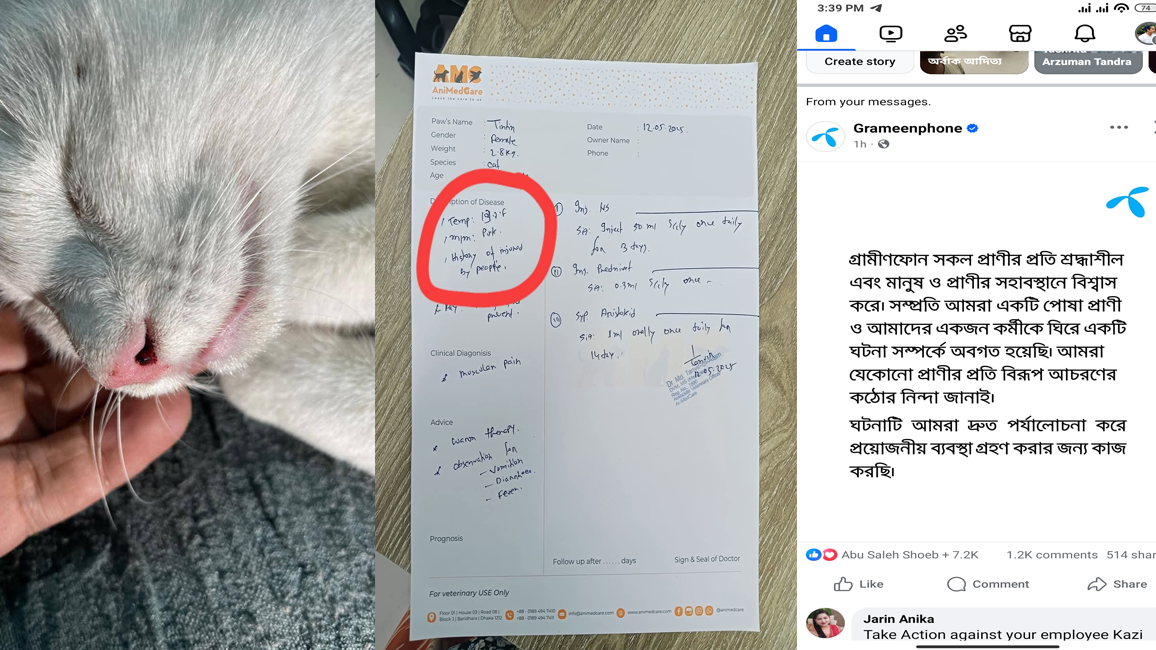 বিড়াল নির্যাতন: সেই উপ-পরিচালকের বিরুদ্ধে ব্যবস্থা নেবে গ্রামীণফোন