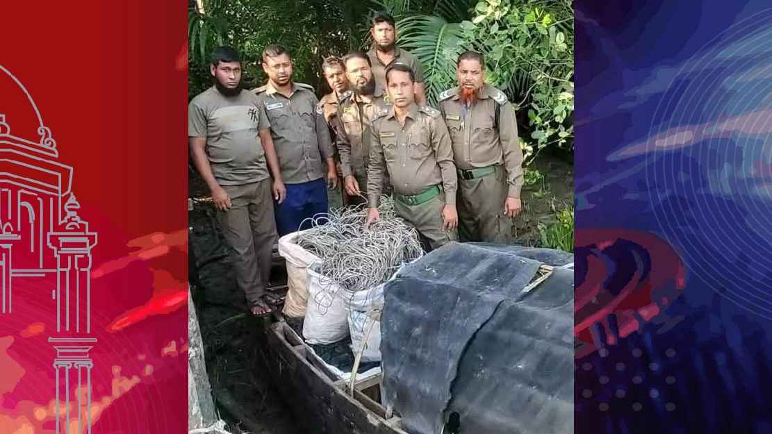 সুন্দরবন থেকে বিপুল পরিমাণ হরিণ ধরা ফাঁদ উদ্ধার