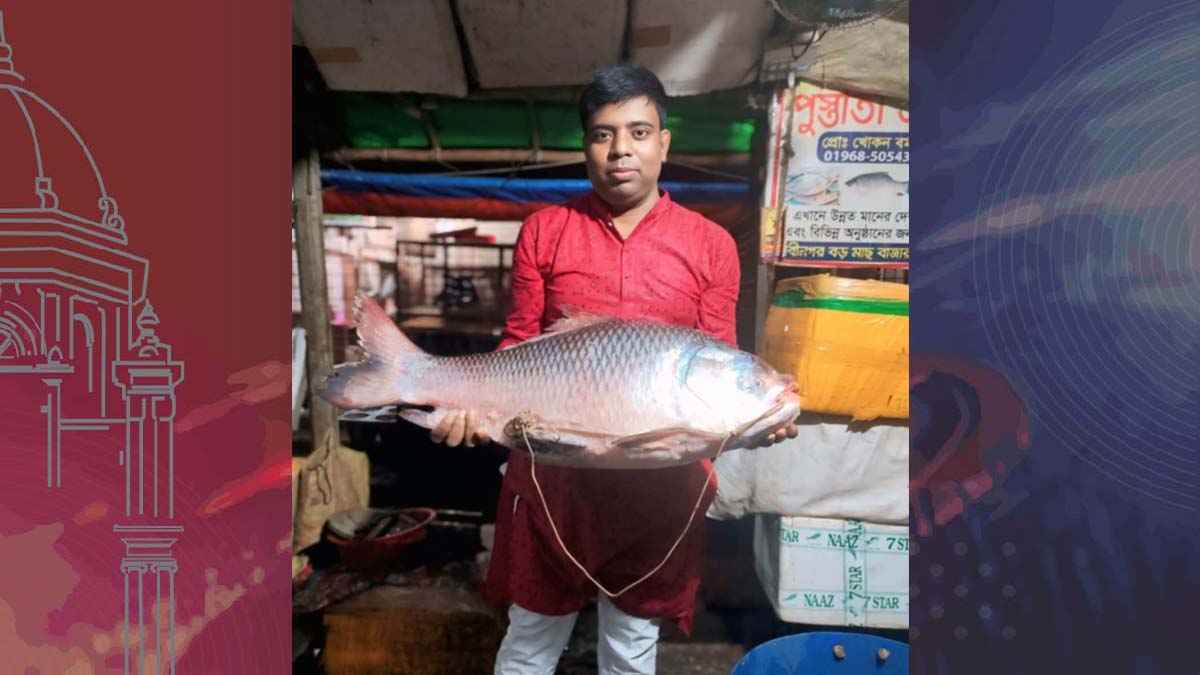 Fish
