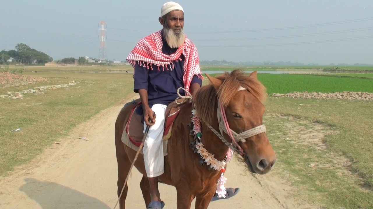 দুর্বৃত্তের বল্লমে শেষ হলো একটি ইতিহাস, মনু মিয়ার ‘শেষ ঠিকানার সাথী’