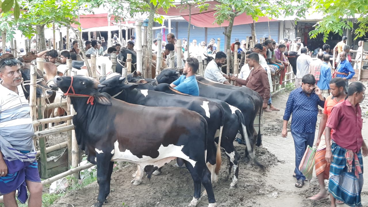 IMG-20250526-WA0006 IMG-20250526-WA0006