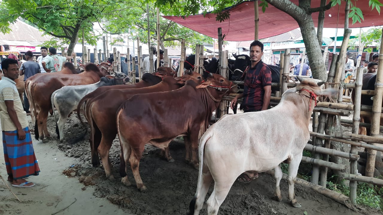 IMG-20250526-WA0007 IMG-20250526-WA0007