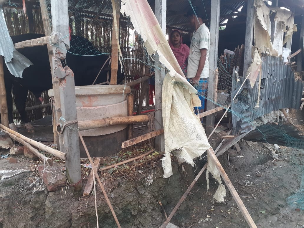 Jhenidha_figthr_phtoo Jhenidha_figthr_phtoo