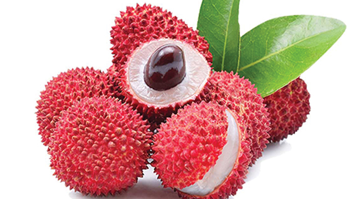 গলায় লিচুর বিচি আটকে শিশুর মৃত্যু