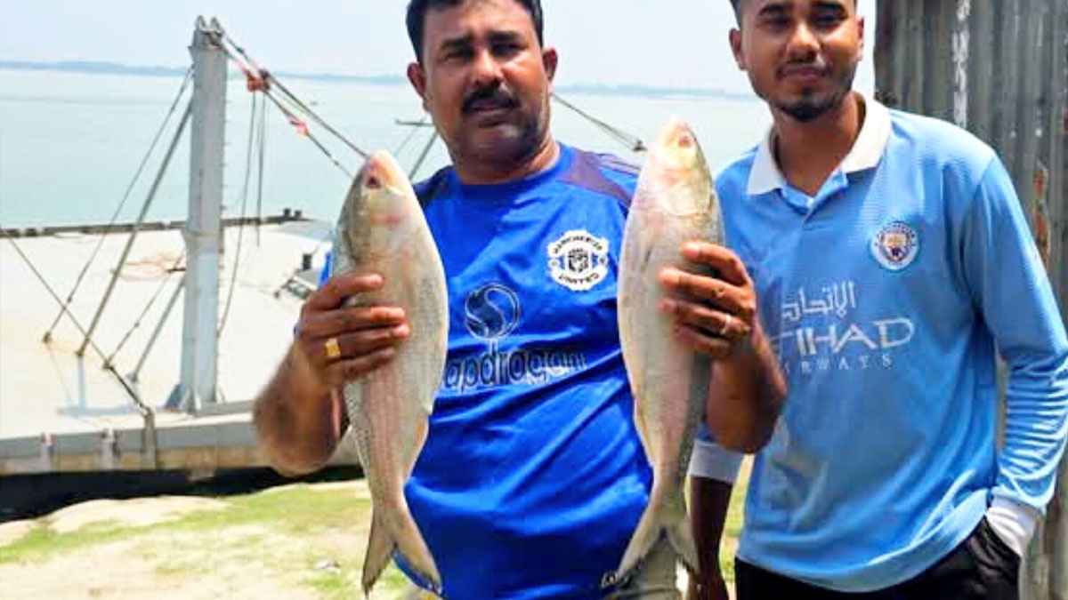 পদ্মার ২টি ইলিশ বিক্রি হলো সাড়ে ১০ হাজার টাকায়