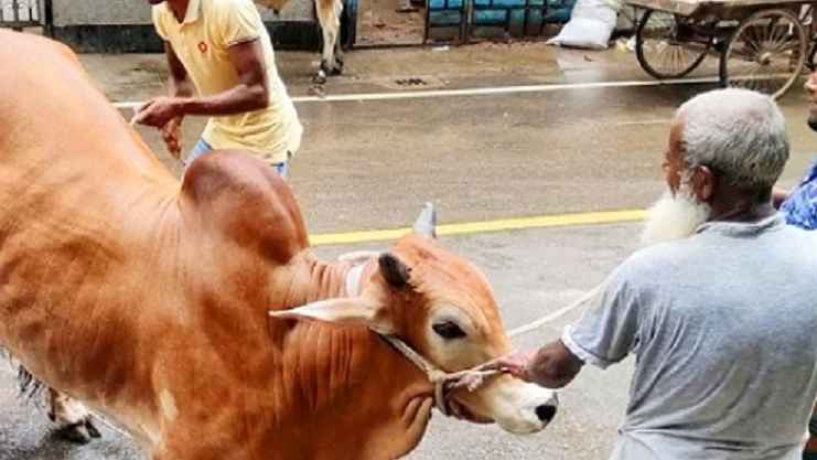 কোরবানির সময় শরিকদের নাম উচ্চারণের বিধান