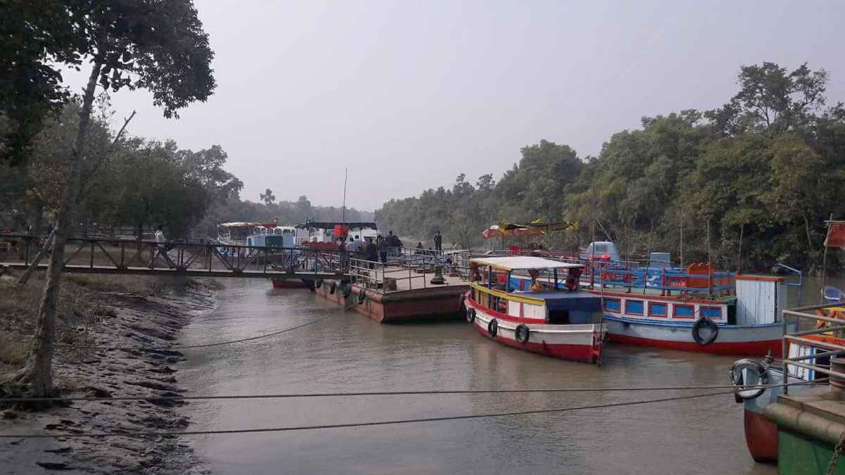 সুন্দরবনে প্রবেশে তিন মাসের নিষেধাজ্ঞা, হতাশ বনজীবীরা