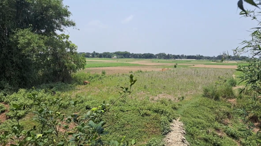 ওসি ও তার ভাইদের বিরুদ্ধে জমি দখলের অভিযোগ