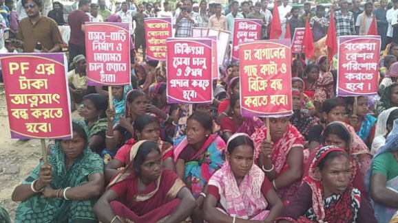 সাত দিনের বকেয়া বেতন পাচ্ছেন আন্দোলনরত চা শ্রমিকরা