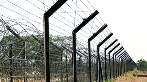 সীমান্তে ভারত থেকে অনুপ্রবেশকালে বিজিবির হাতে আটক ১৫