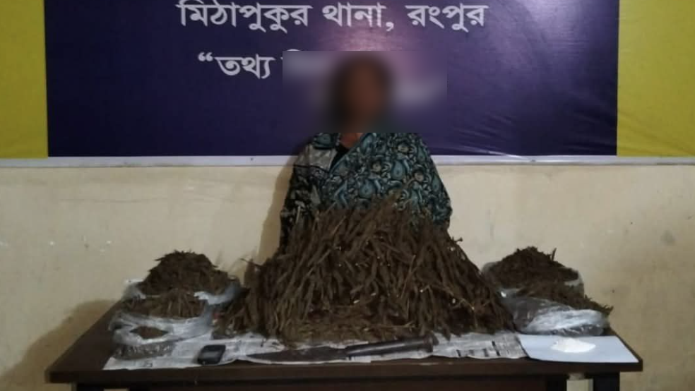 ১৪ কেজি গাঁজাসহ নারী মাদক কারবারি গ্রেফতার