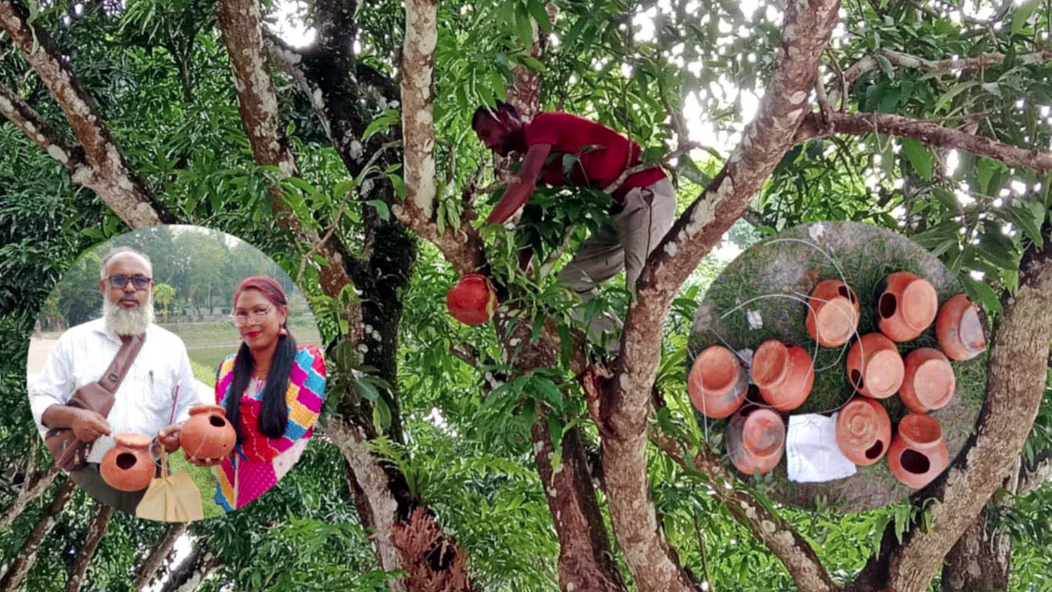 সরকারি অর্থে গাছে গাছে পাখির বাসা তৈরি
