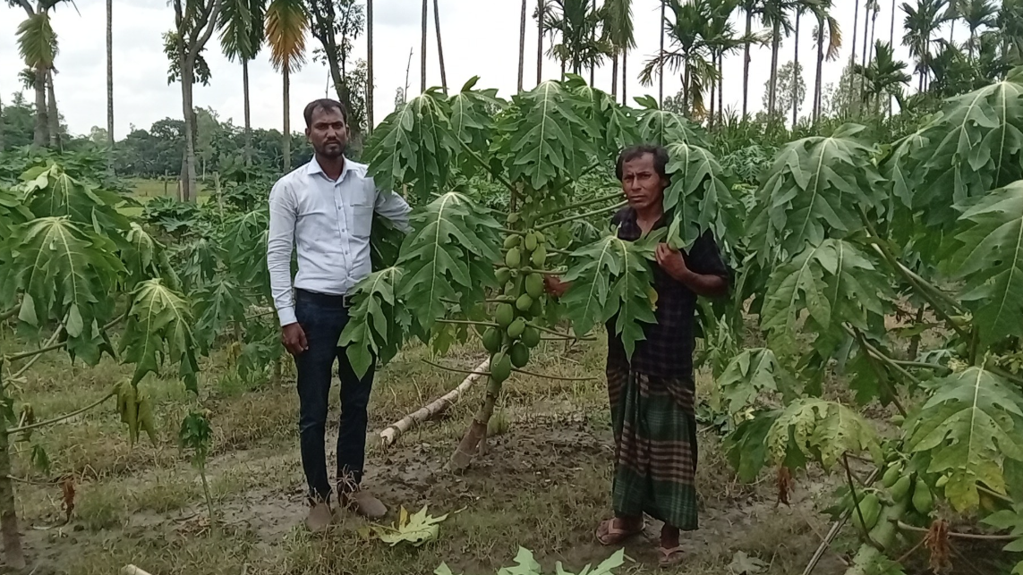 সবুজের মাঝে সফলতার স্বপ্ন
