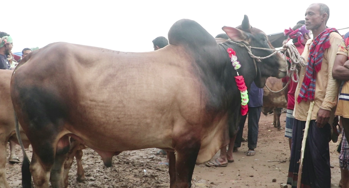 Screenshot_2025-05-31_094555