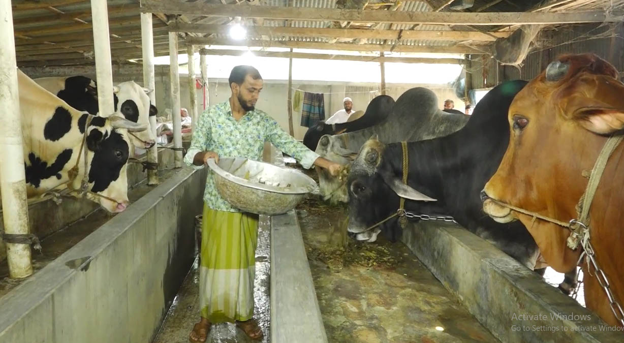 Sirajganj_(Oxe_Fatism)_Photo-1