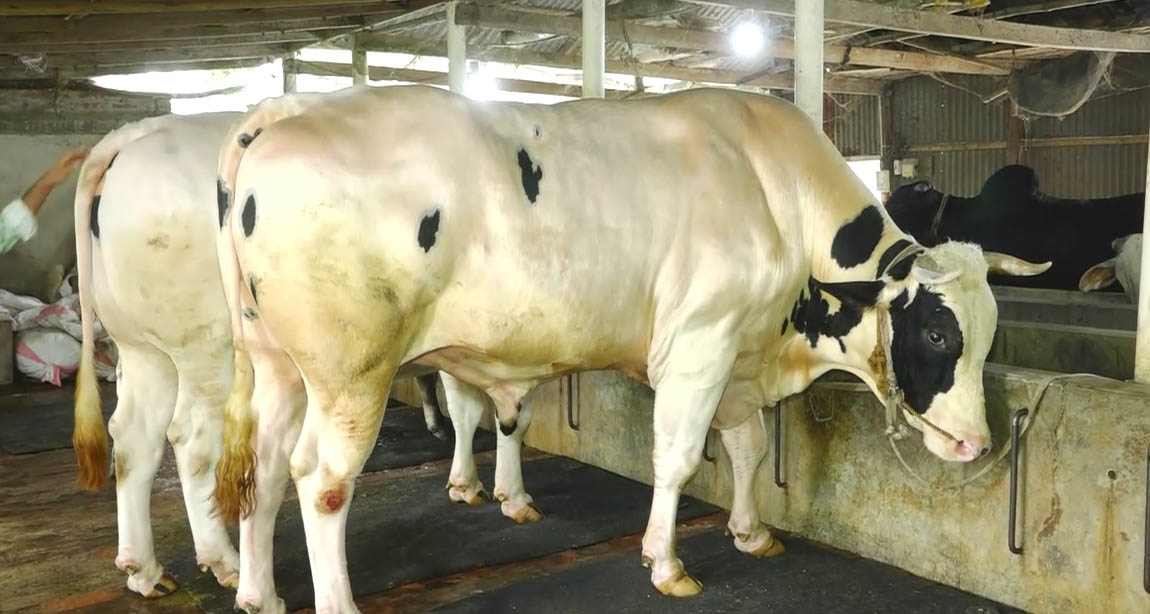 Sirajganj_(Oxe_Fatism)_Photo-5