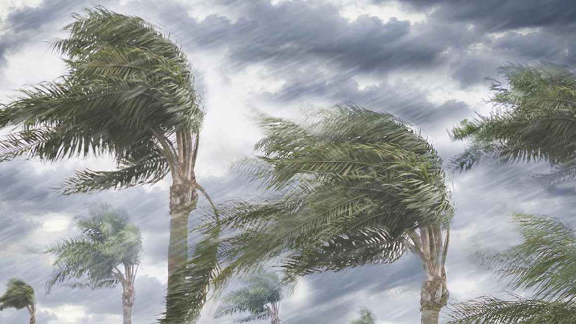 রাত ১টার মধ্যে ১৪ অঞ্চলে ৬০ কিমি বেগে ঝড়ের আশঙ্কা