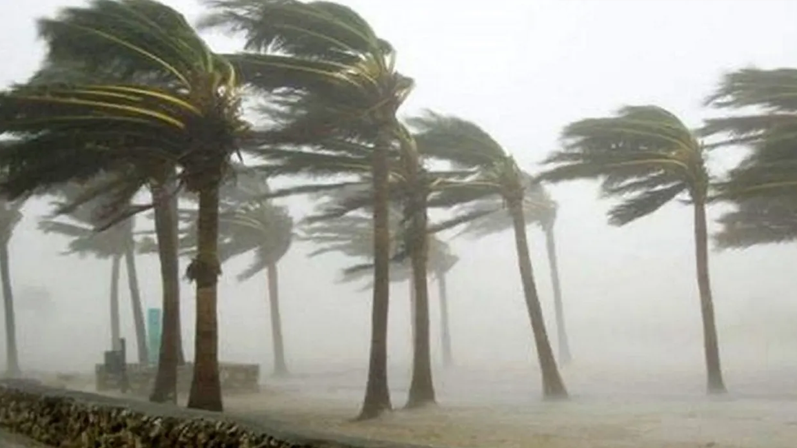 ৭ অঞ্চলে ঘণ্টায় ৬০ কিমি বেগে ঝড়ের আশঙ্কা