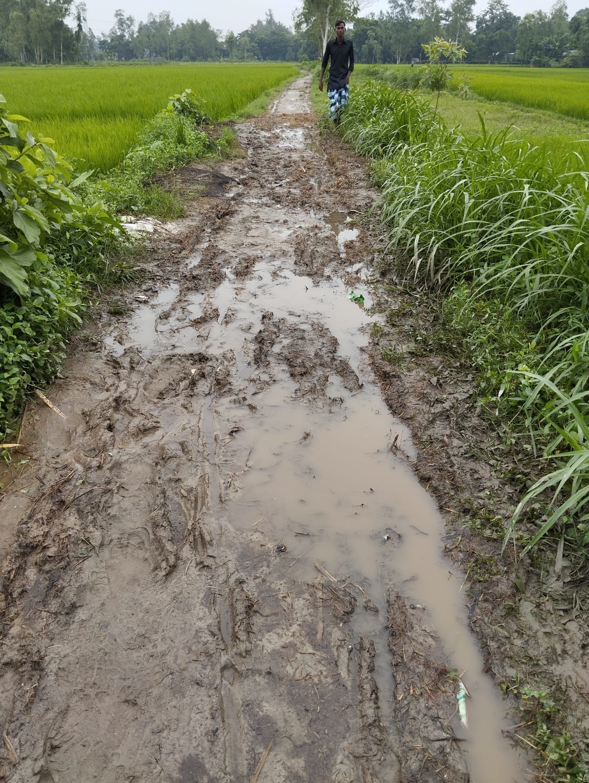 WhatsApp_Image_2025-04-16_at_12.42.19_PM WhatsApp_Image_2025-04-16_at_12.42.19_PM