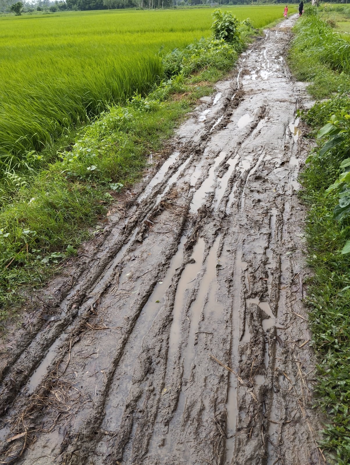 WhatsApp_Image_2025-04-16_at_12.42.20_PM WhatsApp_Image_2025-04-16_at_12.42.20_PM