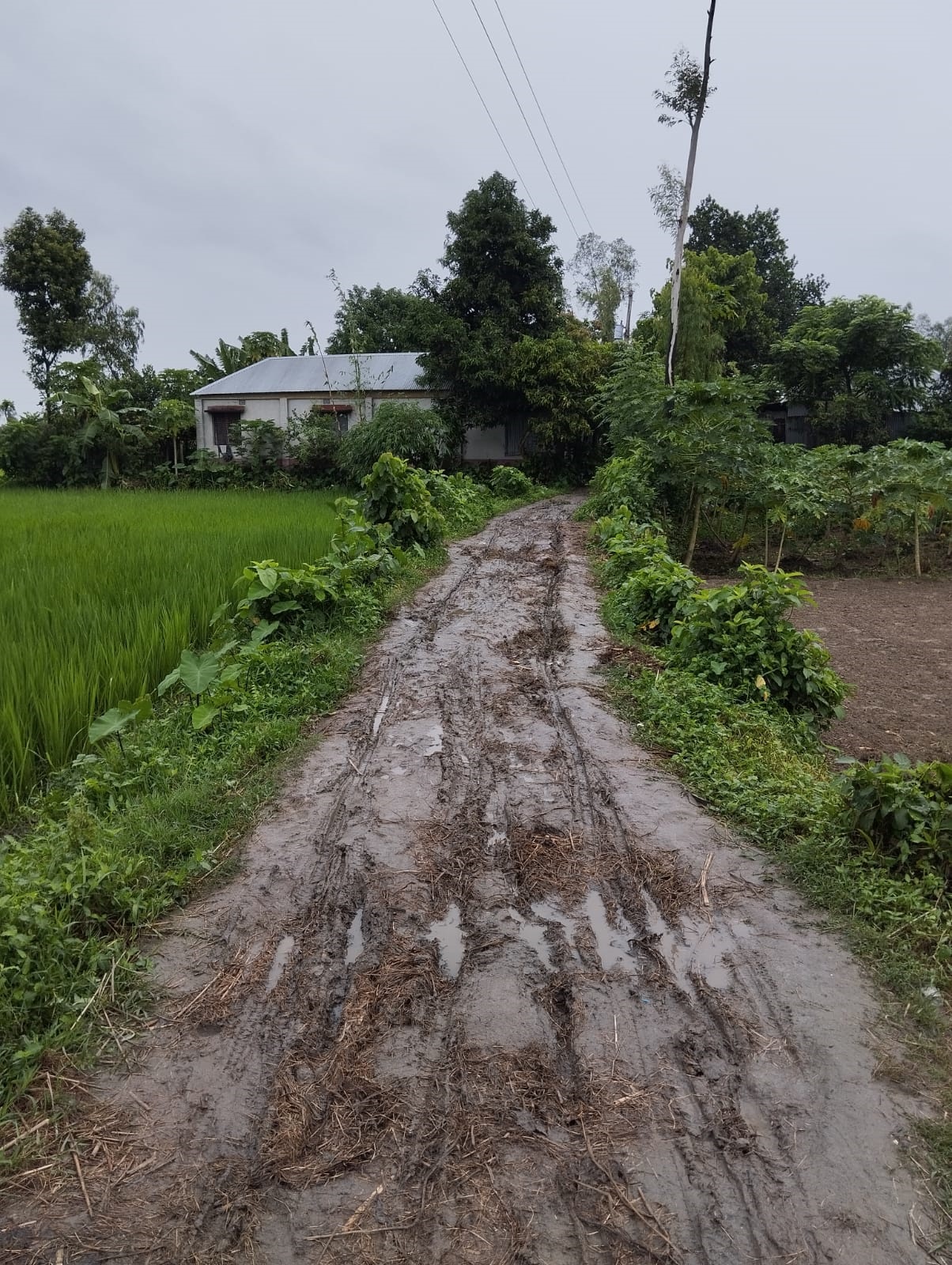 WhatsApp_Image_2025-04-16_at_12.42.22_PM WhatsApp_Image_2025-04-16_at_12.42.22_PM