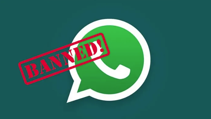 whatsapp ban those model