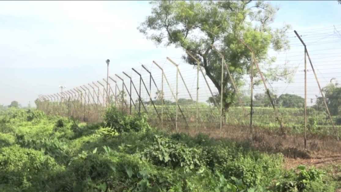 BSF Border kill
