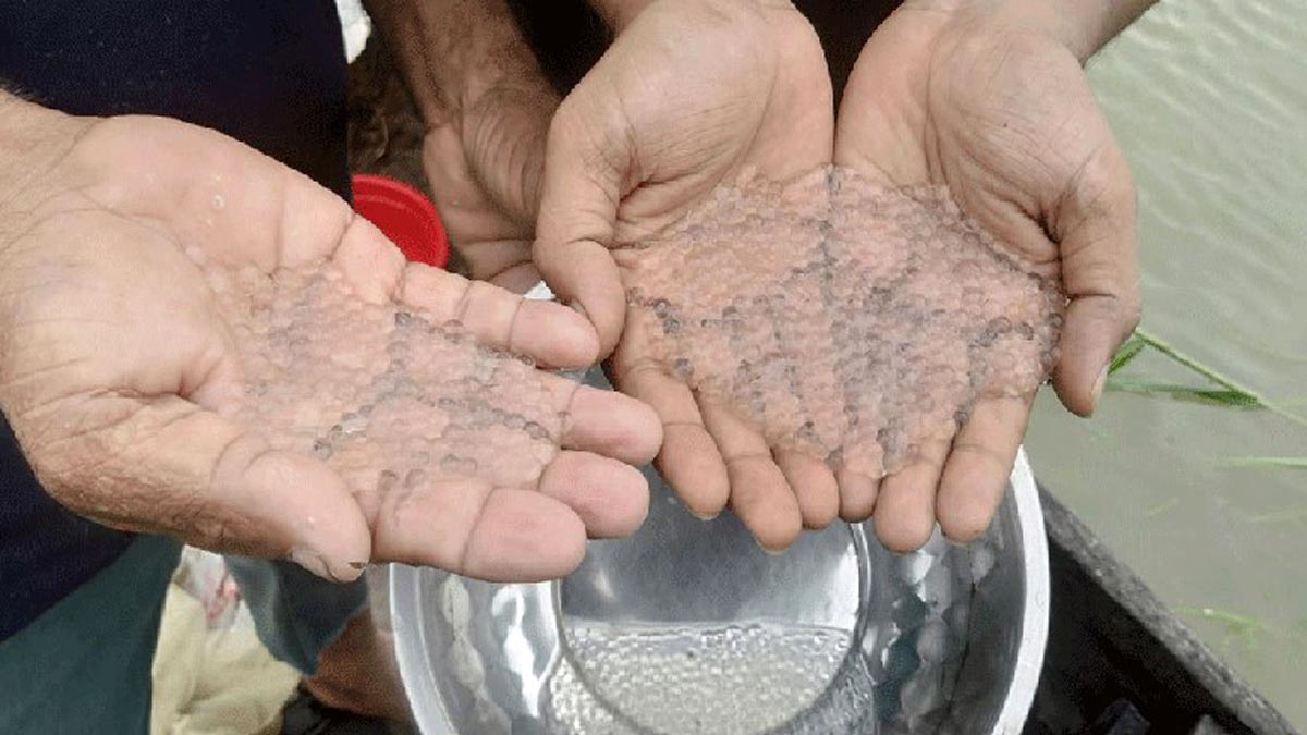 chittagong_2 chittagong_2