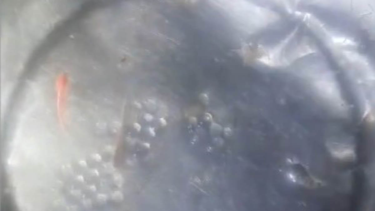 chittagong_8 chittagong_8