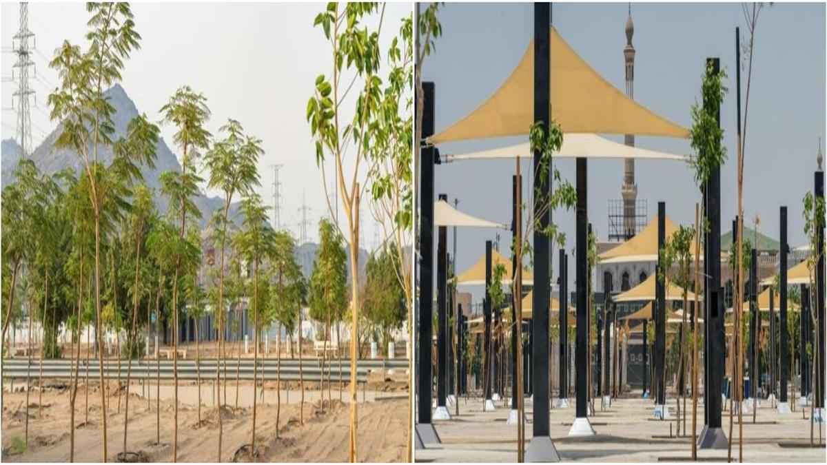 আরাফাতের ময়দানে ছায়ার জন্য বিশেষ তাঁবু